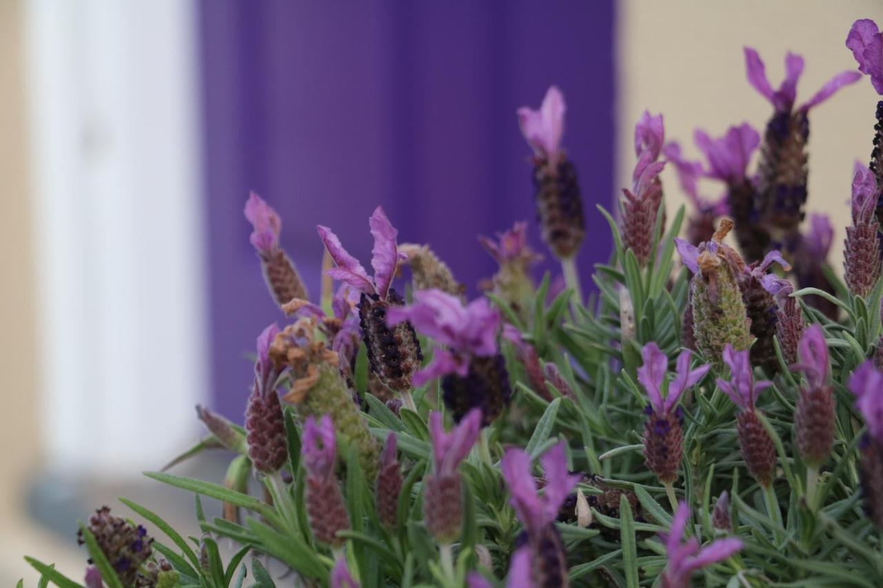 The Purple Door On Seaview Holiday home Victor Harbor